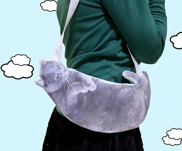 cat-purse-1-600x500